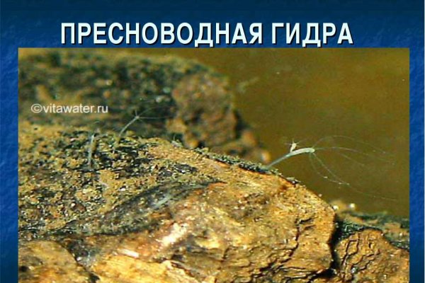 Кракен оригинальная ссылка для тор