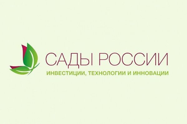 Ссылка на кракен в тор браузере